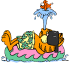 Smaller Image