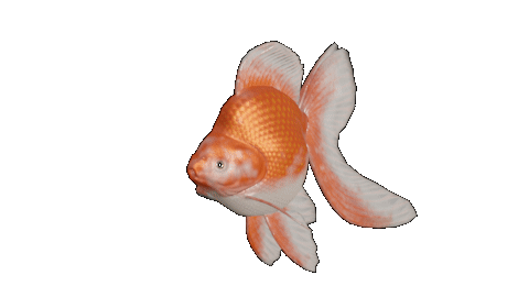 Smaller Image